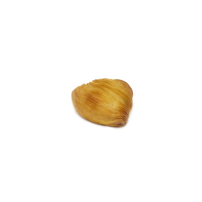 Tradycyjna sfogliatella riccia mignon